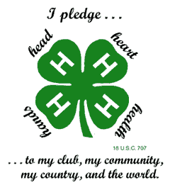 4-H: The power of YOUth