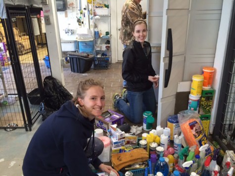 NHS members cleaning out the storage closets at Bonner Springs Animal Shelter.