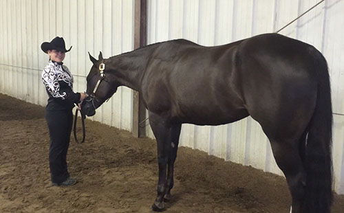 Junior Brynn McCracken stands with her horse at a horse show competition.