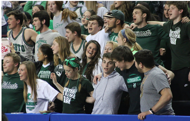 DHS students sing a rendition of Hey! Baby in support of the Girls' Basketball team at the 2017 5A State Championship.