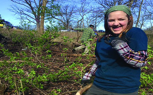 Sophomore Aspen Grieshaber pulls honeysuckle from the woods on Saturday, Sept. 30