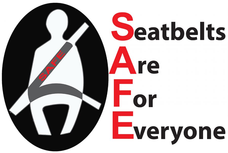 LITE Team Seatbelt Safety Logo 