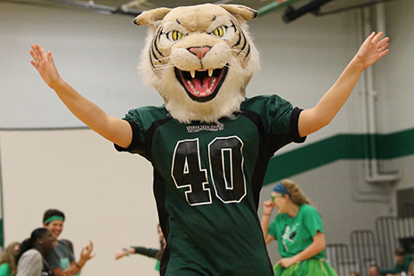 School mascot, Willy the Wildcat, participates in the flash mob and then hypes the crowd up at the beginning of the assembly.