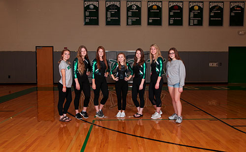 The De Soto gymnastics team poses for their team pictures. 