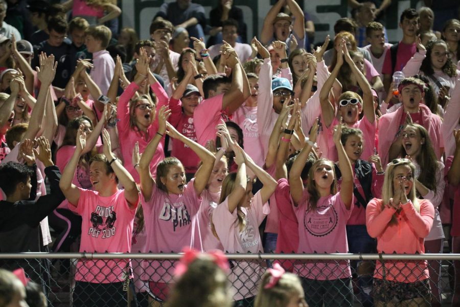 DHS students participate in annual pink out spirit theme at a varsity football game of the 2018 season.