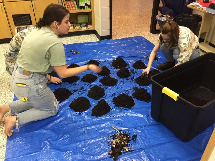 Seniors Morgan Laney, Aspen Grieshaber and junior Emily Kresin sort out worms from the soil for the compost during an Environmental Council meeting on Feb. 4.
