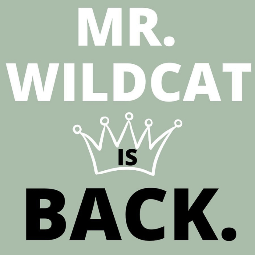 Mr.Wildcat returns to DHS