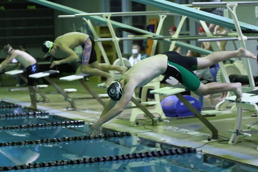 DHS swimmer dives to begin a race at the Turner swim meet on Dec. 16. 