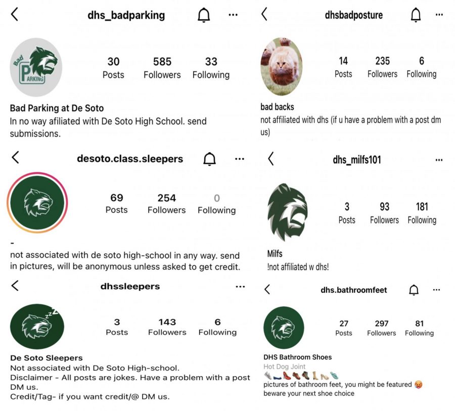 All Instagram accounts main profile pages featured on Instagram. 