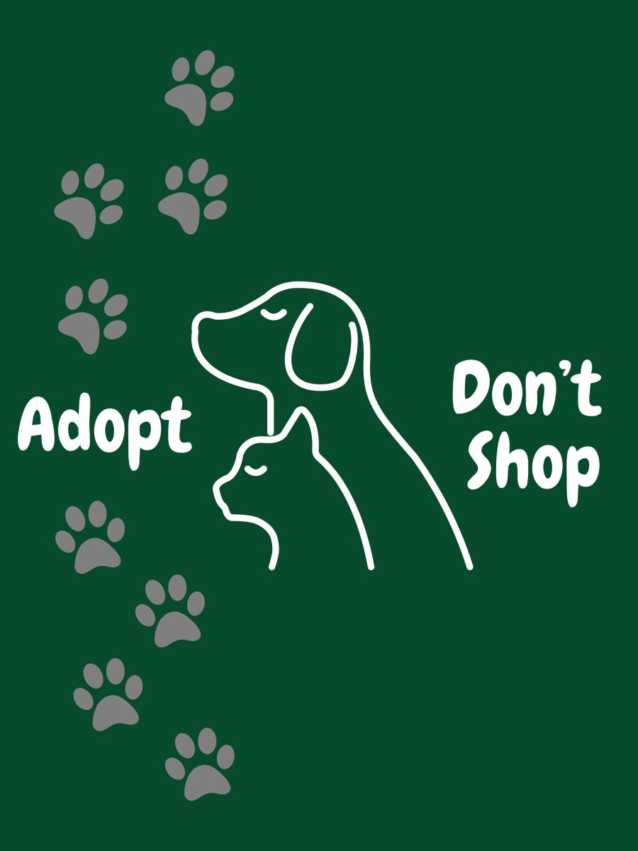 Adopt Don't Shop