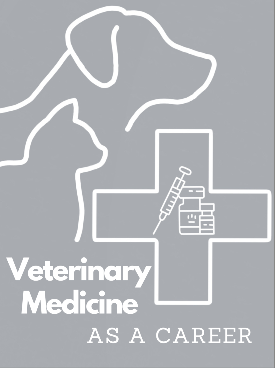 Veterinary Medicine as a Career