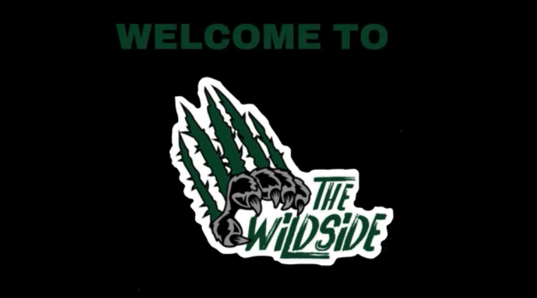 DHS Fall Sports Recap