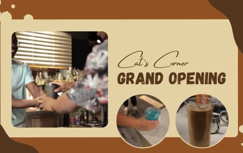 Cat's Corner 2025 opening successful